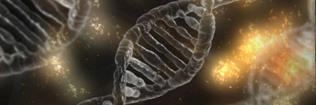 DNA Biochemistry